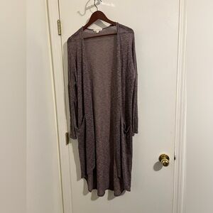 Painted Threads Oversized Sheer Knit Cardigan | Size Large